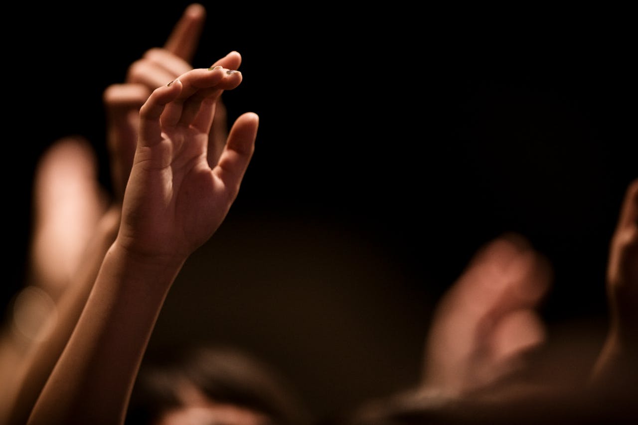 pexels photo 13627494