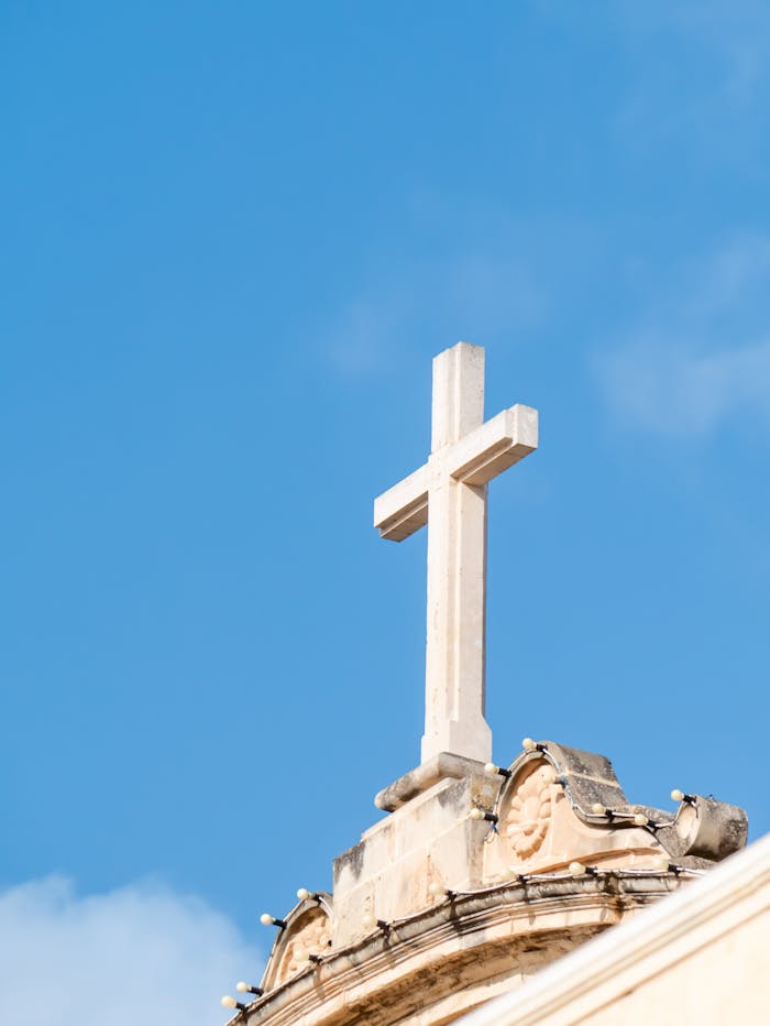 pexels photo 36124047 1